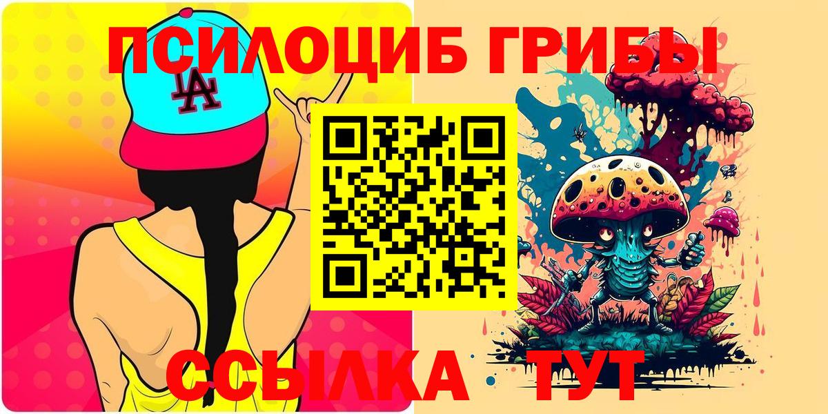 Галлюциногенные грибы Psilocybine cubensis Кохма